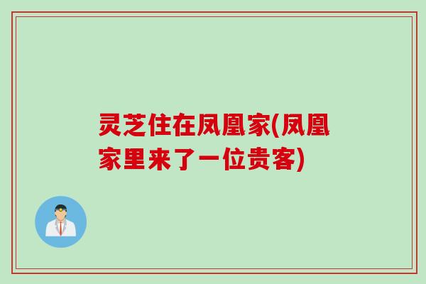 灵芝住在凤凰家(凤凰家里来了一位贵客)