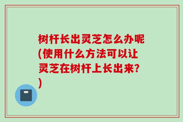 树杆长出灵芝怎么办呢(使用什么方法可以让灵芝在树杆上长出来？)