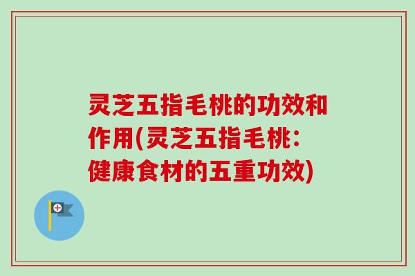 灵芝五指毛桃的功效和作用(灵芝五指毛桃：健康食材的五重功效)