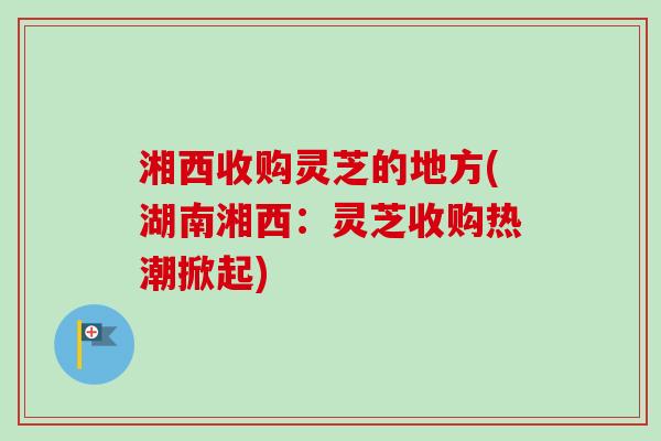 湘西收购灵芝的地方(湖南湘西：灵芝收购热潮掀起)