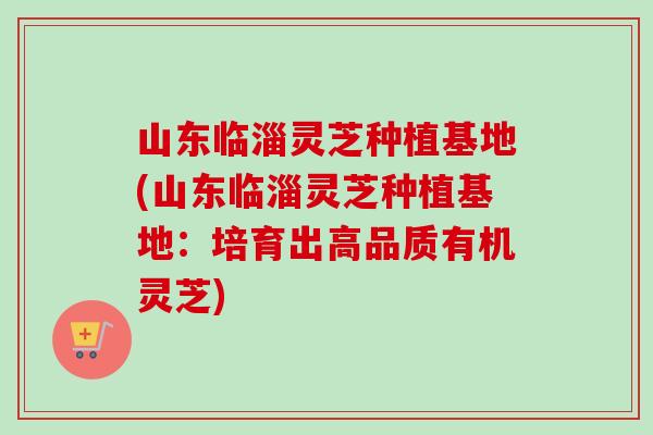 山东临淄灵芝种植基地(山东临淄灵芝种植基地：培育出高品质有机灵芝)