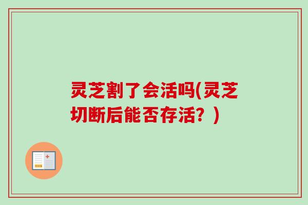灵芝割了会活吗(灵芝切断后能否存活?) 灵芝割了会活吗(灵芝切断后能否存活?)