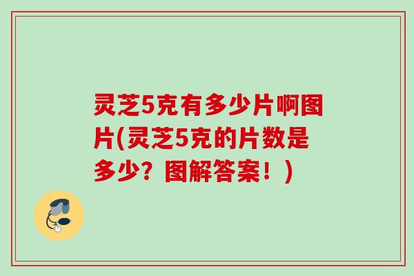 灵芝5克有多少片啊图片(灵芝5克的片数是多少？图解答案！)