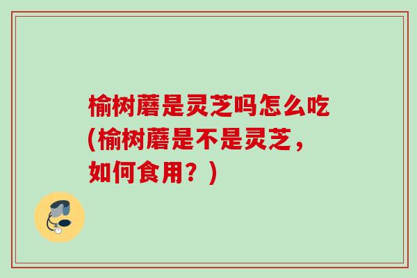 榆树蘑是灵芝吗怎么吃(榆树蘑是不是灵芝，如何食用？)