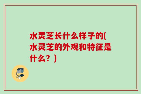 水灵芝长什么样子的(水灵芝的外观和特征是什么？)