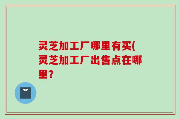 灵芝加工厂哪里有买(灵芝加工厂出售点在哪里？