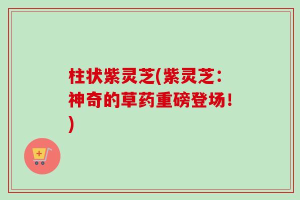柱状紫灵芝(紫灵芝：神奇的草药重磅登场！)