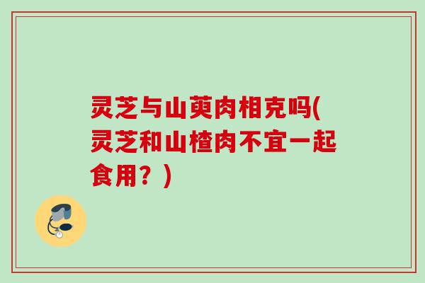 灵芝与山萸肉相克吗(灵芝和山楂肉不宜一起食用？)