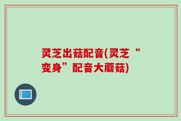 灵芝出菇配音(灵芝“变身”配音大蘑菇)
