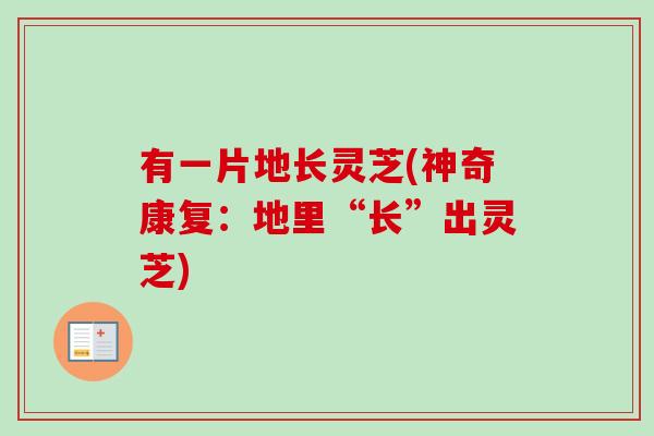 有一片地长灵芝(神奇康复:地里“长”出灵芝) 有一片地长灵芝(神奇康复:地里“长”出灵芝)