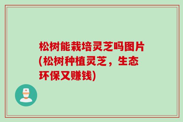 松树能栽培灵芝吗图片(松树种植灵芝，生态环保又赚钱)