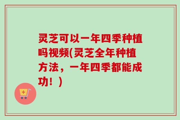 灵芝可以一年四季种植吗视频(灵芝全年种植方法，一年四季都能成功！)