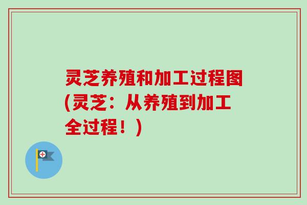 灵芝养殖和加工过程图(灵芝：从养殖到加工全过程！)