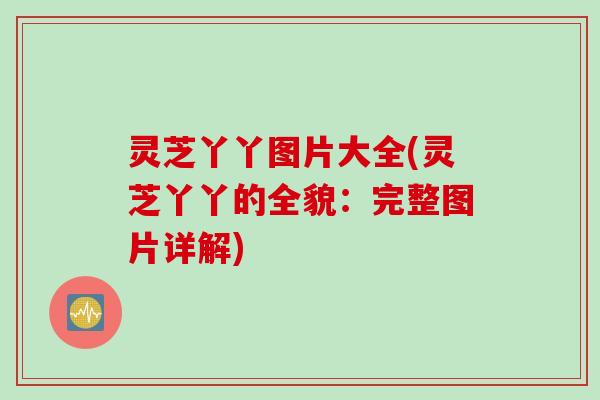 灵芝丫丫图片大全(灵芝丫丫的全貌：完整图片详解)
