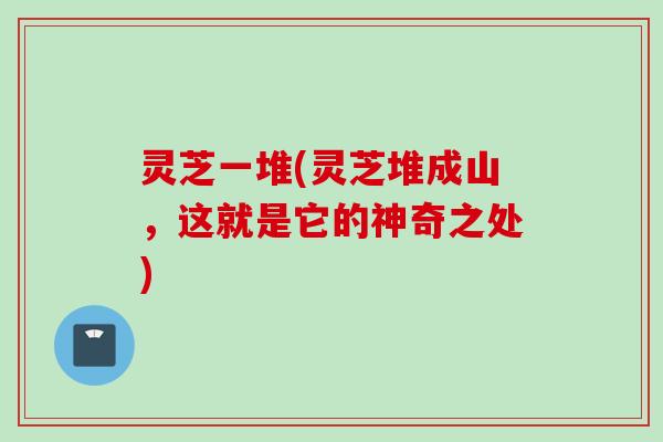 灵芝一堆(灵芝堆成山，这就是它的神奇之处)