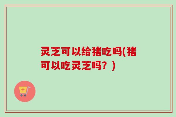 灵芝可以给猪吃吗(猪可以吃灵芝吗？)