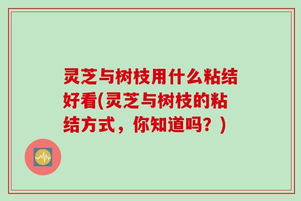 灵芝与树枝用什么粘结好看(灵芝与树枝的粘结方式,你知道吗?) 灵芝与树枝用什么粘结好看(灵芝与树枝的粘结方式,你知道吗?)