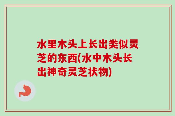 水里木头上长出类似灵芝的东西(水中木头长出神奇灵芝状物)