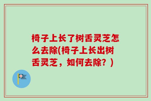 椅子上长了树舌灵芝怎么去除(椅子上长出树舌灵芝，如何去除？)