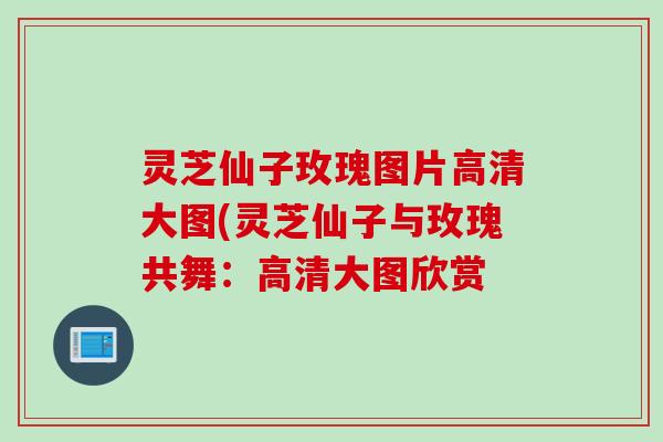 灵芝仙子玫瑰图片高清大图(灵芝仙子与玫瑰共舞:高清大图欣赏 灵芝仙子玫瑰图片高清大图(灵芝仙子与玫瑰共舞:高清大图欣赏