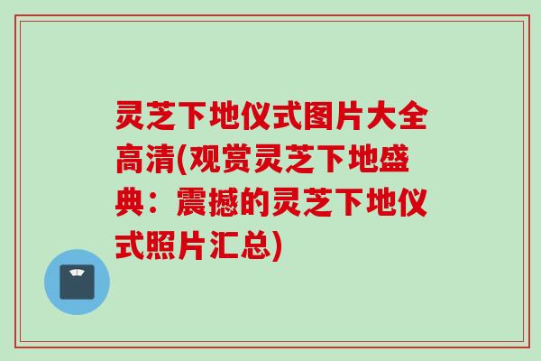 灵芝下地仪式图片大全高清(观赏灵芝下地盛典：震撼的灵芝下地仪式照片汇总)