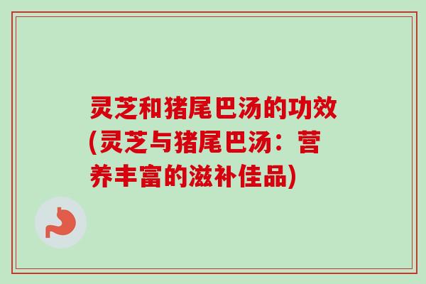 灵芝和猪尾巴汤的功效(灵芝与猪尾巴汤：营养丰富的滋补佳品)