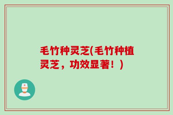 毛竹种灵芝(毛竹种植灵芝，功效显著！)