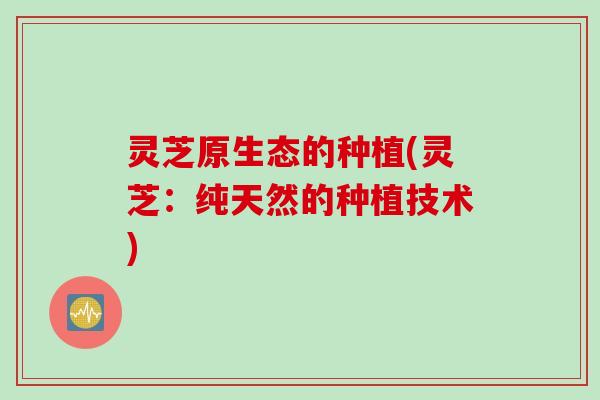 灵芝原生态的种植(灵芝:纯天然的种植技术) 灵芝原生态的种植(灵芝:纯天然的种植技术)