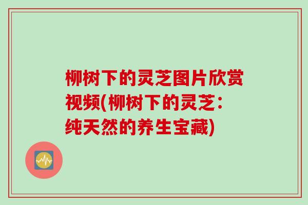 柳树下的灵芝图片欣赏视频(柳树下的灵芝：纯天然的养生宝藏)