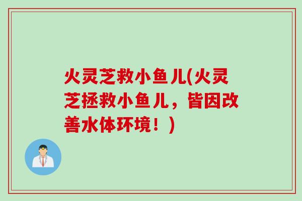 火灵芝救小鱼儿(火灵芝拯救小鱼儿,皆因改善水体环境!) 火灵芝救小鱼儿(火灵芝拯救小鱼儿,皆因改善水体环境!)
