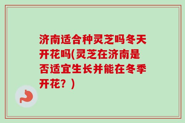 济南适合种灵芝吗冬天开花吗(灵芝在济南是否适宜生长并能在冬季开花？)