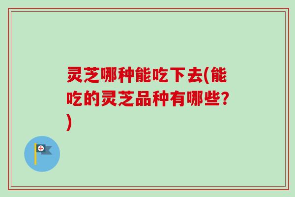 灵芝哪种能吃下去(能吃的灵芝品种有哪些？)