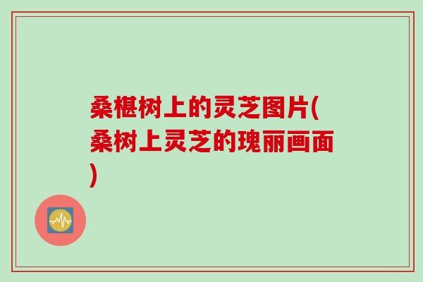 桑椹树上的灵芝图片(桑树上灵芝的瑰丽画面)