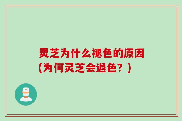 灵芝为什么褪色的原因(为何灵芝会退色?) 灵芝为什么褪色的原因(为何灵芝会退色?)