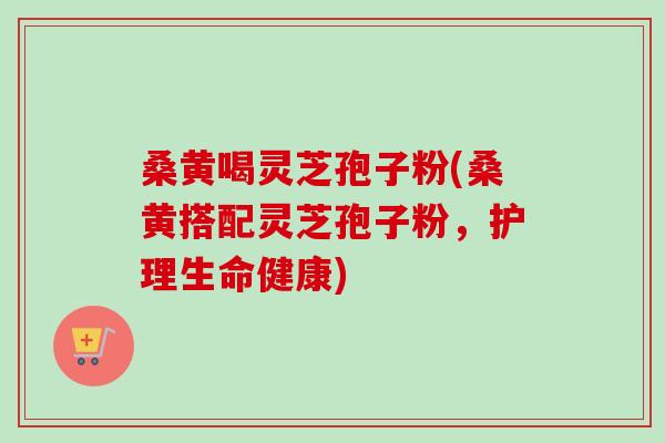 桑黄喝灵芝孢子粉(桑黄搭配灵芝孢子粉，护理生命健康)