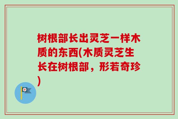 树根部长出灵芝一样木质的东西(木质灵芝生长在树根部，形若奇珍)