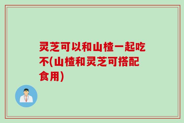 灵芝可以和山楂一起吃不(山楂和灵芝可搭配食用)