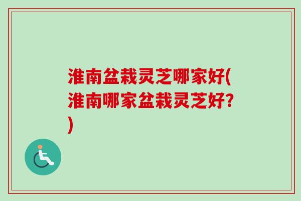 淮南盆栽灵芝哪家好(淮南哪家盆栽灵芝好？)