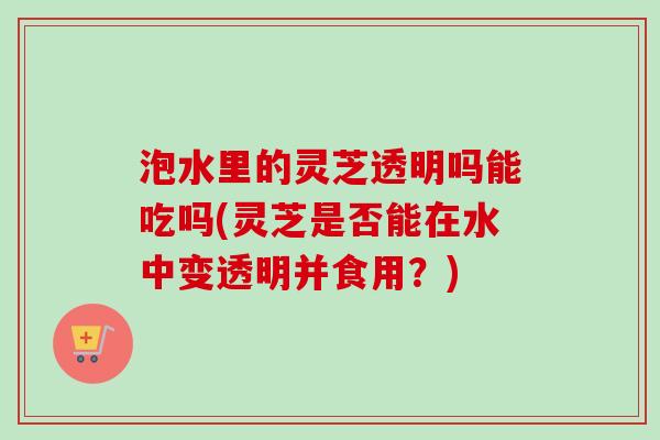 泡水里的灵芝透明吗能吃吗(灵芝是否能在水中变透明并食用？)