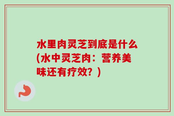 水里肉灵芝到底是什么(水中灵芝肉：营养美味还有疗效？)