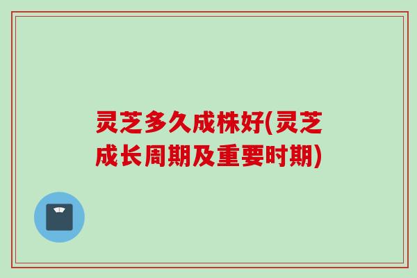 灵芝多久成株好(灵芝成长周期及重要时期)