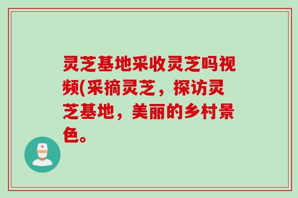 灵芝基地采收灵芝吗视频(采摘灵芝，探访灵芝基地，美丽的乡村景色。