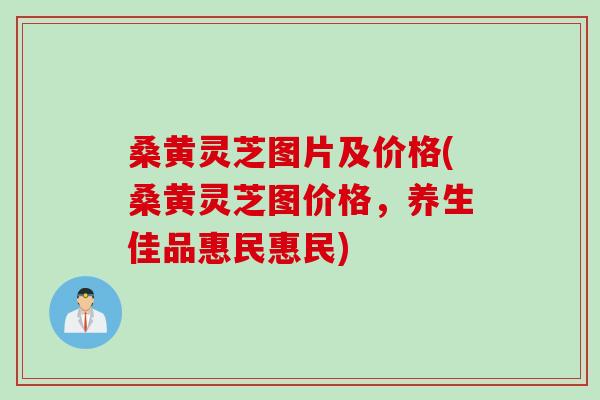桑黄灵芝图片及价格(桑黄灵芝图价格，养生佳品惠民惠民)