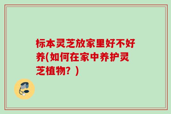 标本灵芝放家里好不好养(如何在家中养护灵芝植物？)