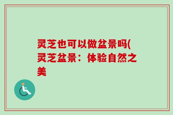 灵芝也可以做盆景吗(灵芝盆景:体验自然之美 灵芝也可以做盆景吗(灵芝盆景:体验自然之美