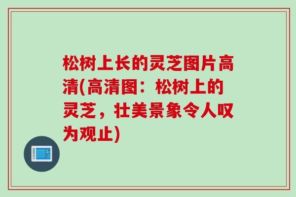 松树上长的灵芝图片高清(高清图：松树上的灵芝，壮美景象令人叹为观止)