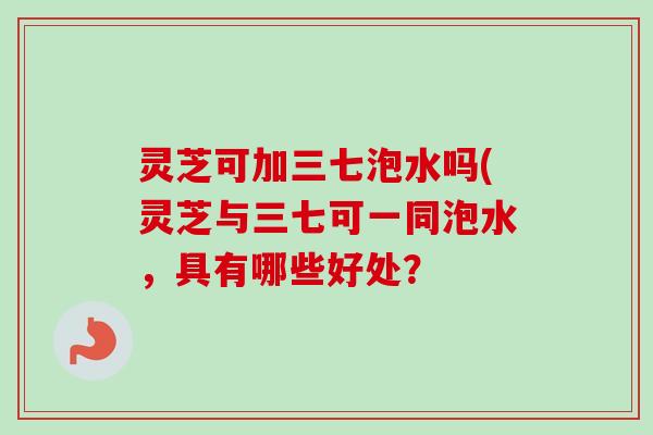 灵芝可加三七泡水吗(灵芝与三七可一同泡水,具有哪些好处? 灵芝可加三七泡水吗(灵芝与三七可一同泡水,具有哪些好处?