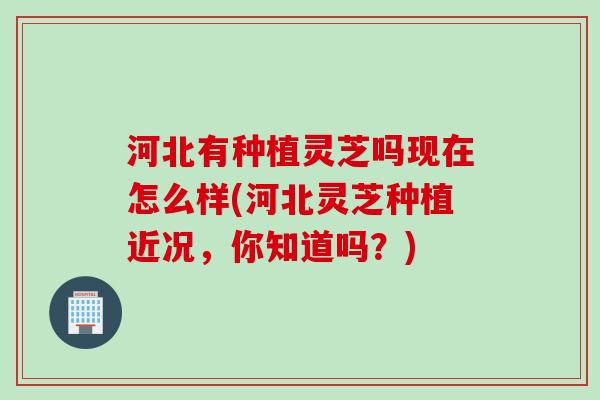 河北有种植灵芝吗现在怎么样(河北灵芝种植近况，你知道吗？)