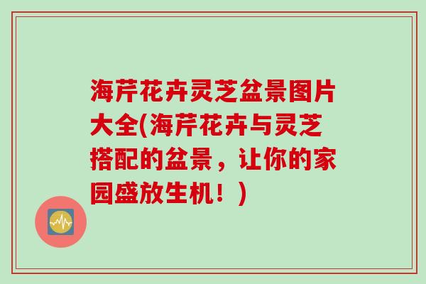 海芹花卉灵芝盆景图片大全(海芹花卉与灵芝搭配的盆景，让你的家园盛放生机！)