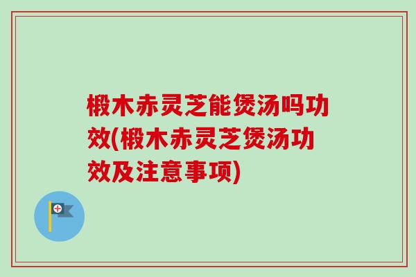 椴木赤灵芝能煲汤吗功效(椴木赤灵芝煲汤功效及注意事项)